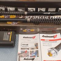 Bmw r nine t cartucce forcelle misano evo andreani