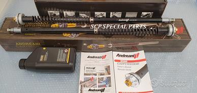 Bmw r nine t cartucce forcelle misano evo andreani