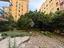 Immagine 19