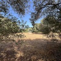 TER. AGRICOLO A ORISTANO