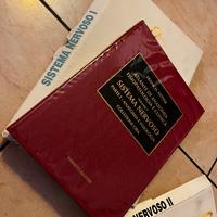 Netter Sistema nervoso parte 1 e 2
