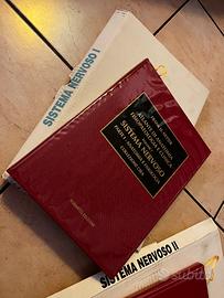 Netter Sistema nervoso parte 1 e 2