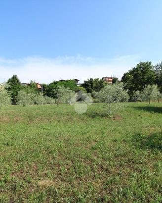 TER. AGRICOLO A MANERBA DEL GARDA