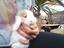 Immagine 2