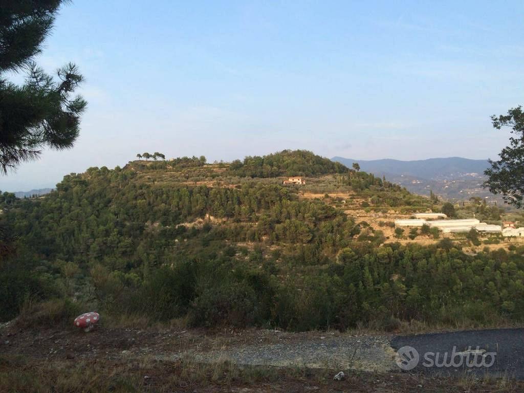 Terreno di 15111 m² a Camporosso - Vista 2