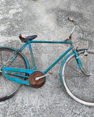 bici antica (olmo)