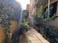 Immagine 27