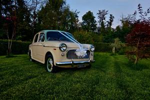 fiat 1100 103 d  anno 1958 