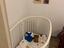 Immagine 2