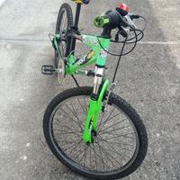 Bicicletta da bambino 