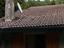 Immagine 11
