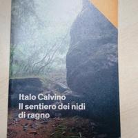 il sentiero dei nidi di ragno 