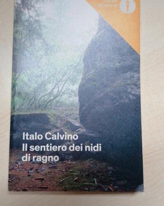 il sentiero dei nidi di ragno 