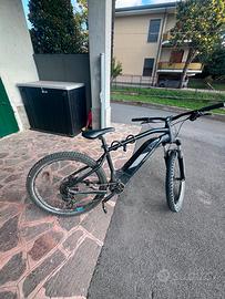 Bici rock Rider