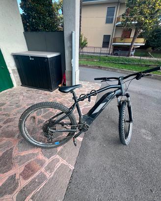 Bici rock Rider