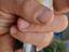 Immagine 3