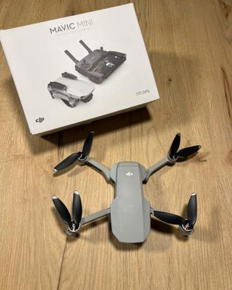 Dji Mavic Mini