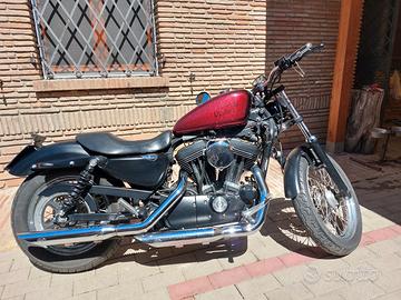 harley sportster 883 xl