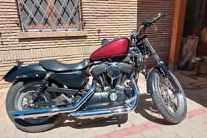 harley sportster 883 xl