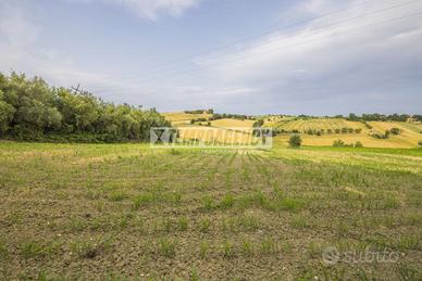 Terreno agricolo di 36.600 mq a Morrovalle!