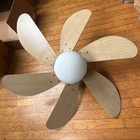 Ventilatore a soffitto