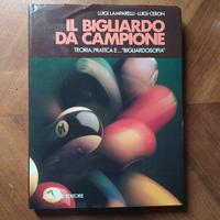 il bigliardo da campione