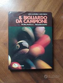 il bigliardo da campione