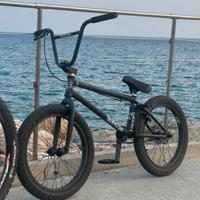 Bmx subrosa