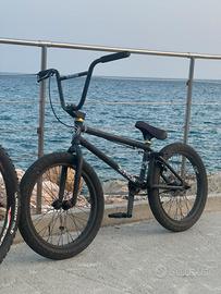Bmx subrosa