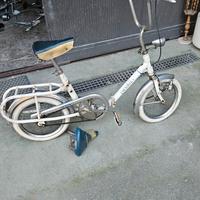 graziella carnielli da 16