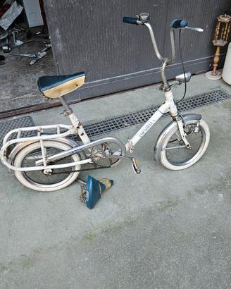 graziella carnielli da 16