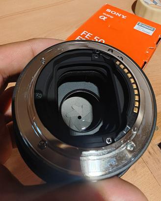sony 50mm f 1.8