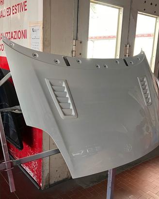Cofano Punto Evo 2012