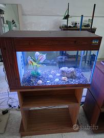 acquario 