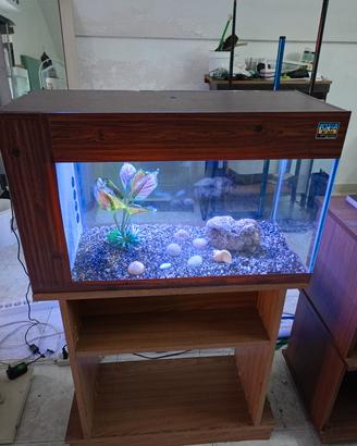 acquario 