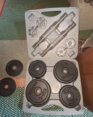Kit Manubri e Pesi Ghisa 20 kg Domyos