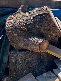 Legna di cedro atlantis