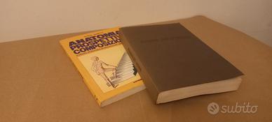 manuale dell'architetto e anatomia/prospettiva/com