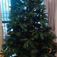 Albero di Natale 🎄