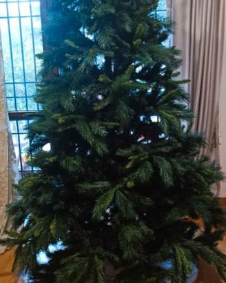 Albero di Natale 🎄