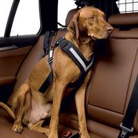 Cintura di sicurezza per cani Allsafe Original