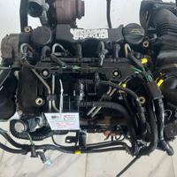 G8DA MOTORE COMPLETO FORD C - Max Serie G8DA Diese