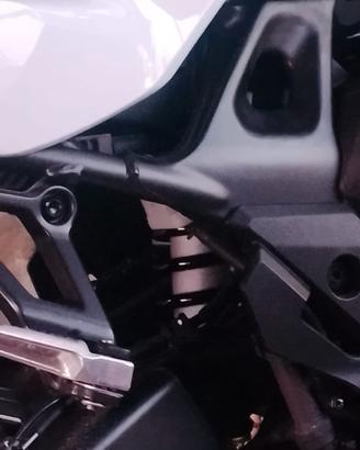 Honda Transalp XL750 (2024) – Ross White