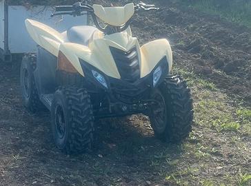 Quad dinli cobia 50