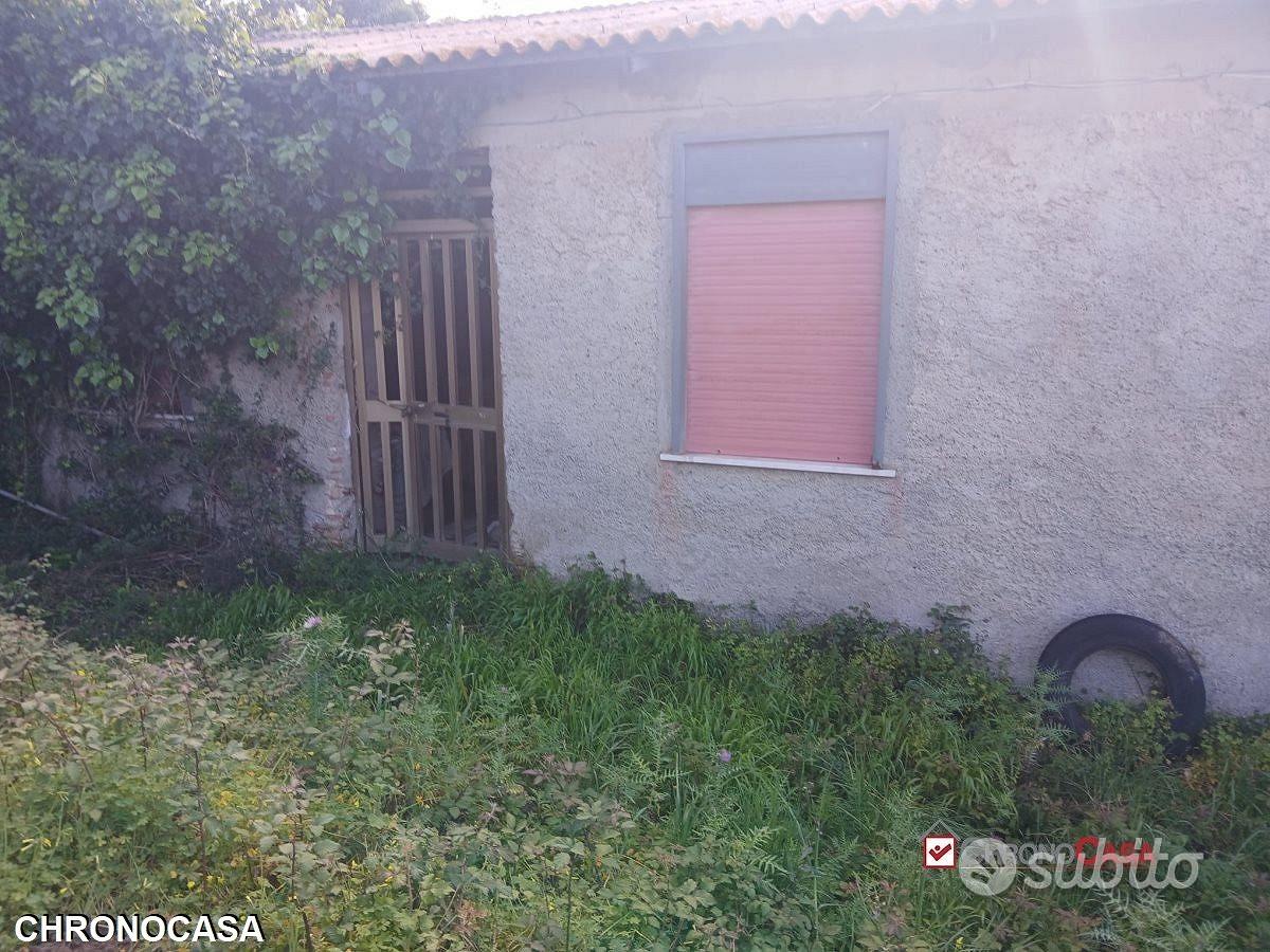 Piano Torre, ampio terreno e fabbricato - Vista 5