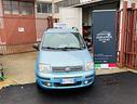 fiat-panda-1-2-alessi