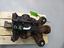 Immagine 14