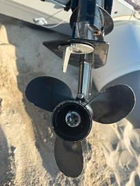 Fuoribordo Mercury 9.9 CV + Catamarano Gonfiabile