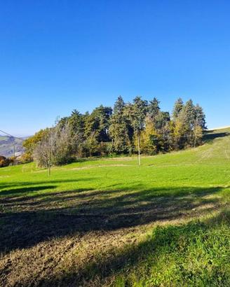 Villa di 300 m² con più di 5 locali e box auto a O