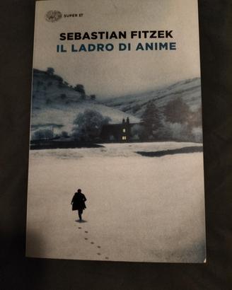 il ladro di anime